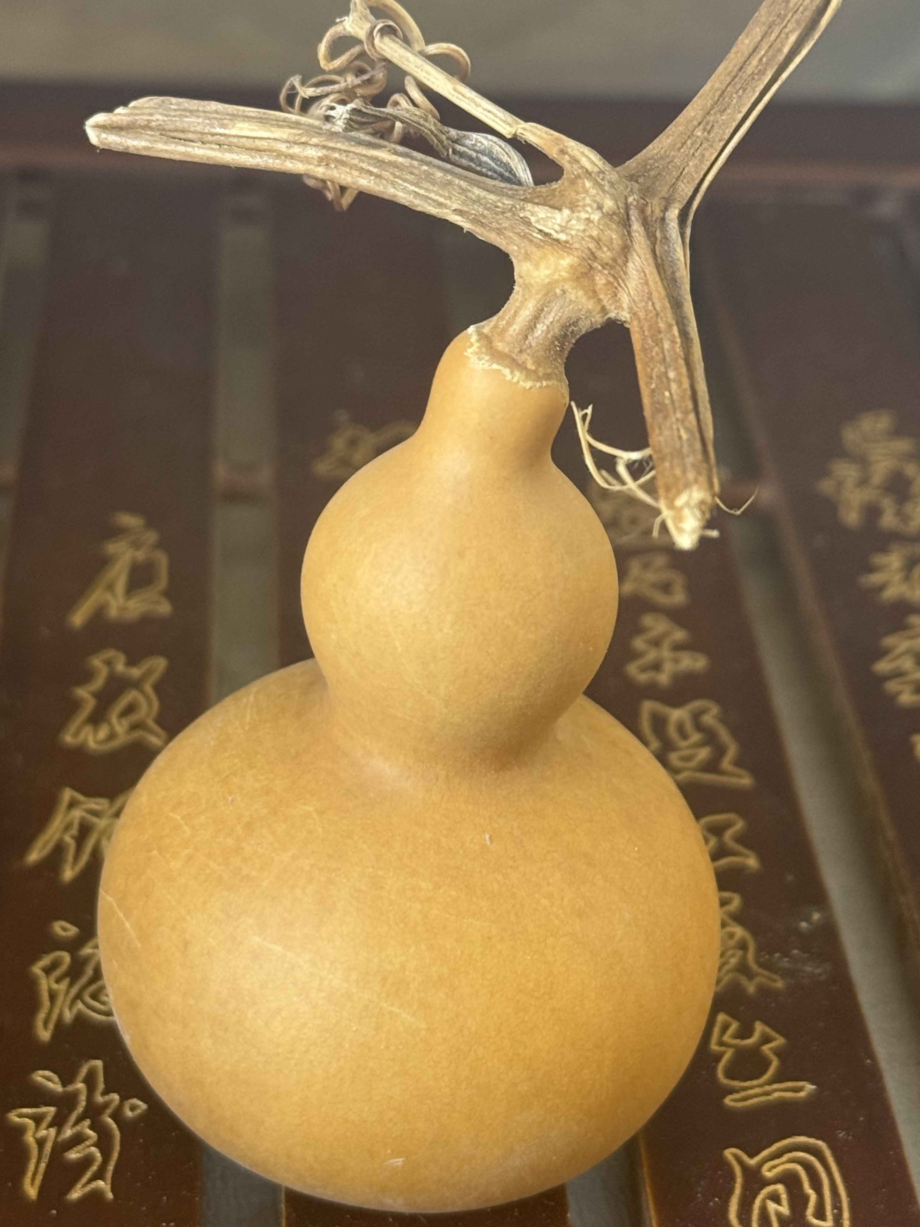 文玩天然大葫芦直播间选购链接葫芦文玩