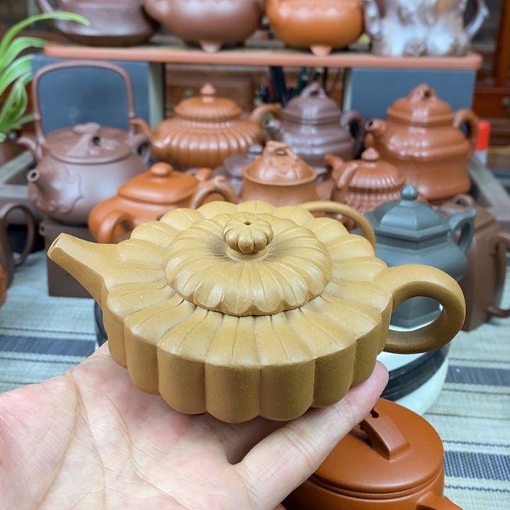 紫砂茶壶梅花周盘150cc原矿黄金老段