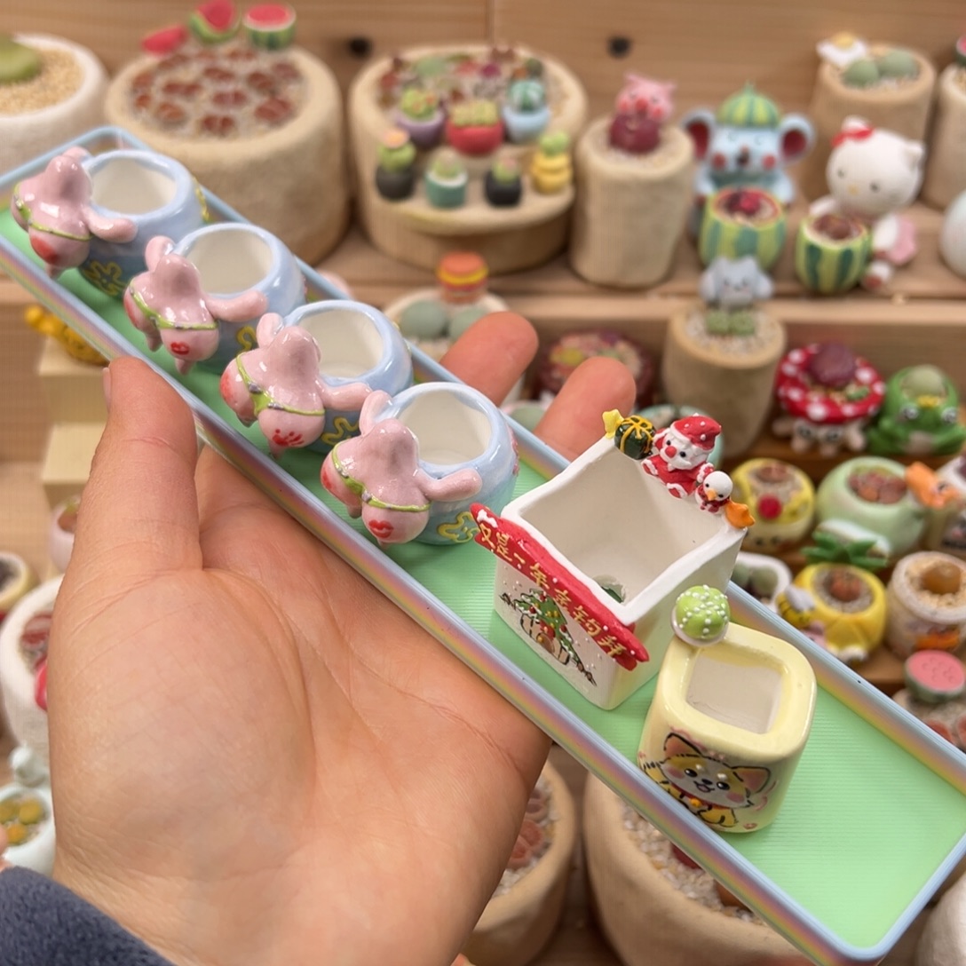 小***宅多肉植物108号看备注