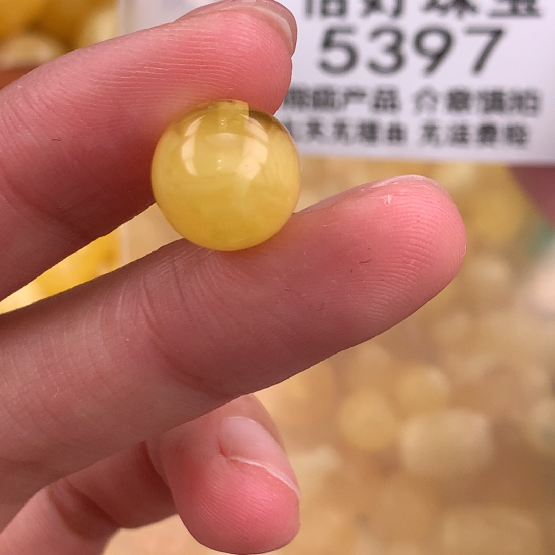 琥珀未镶嵌珠宝奇石11.9孔植物