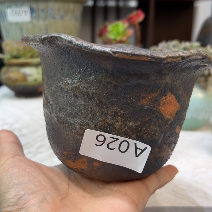 景德镇陶瓷研究所，2单包邮