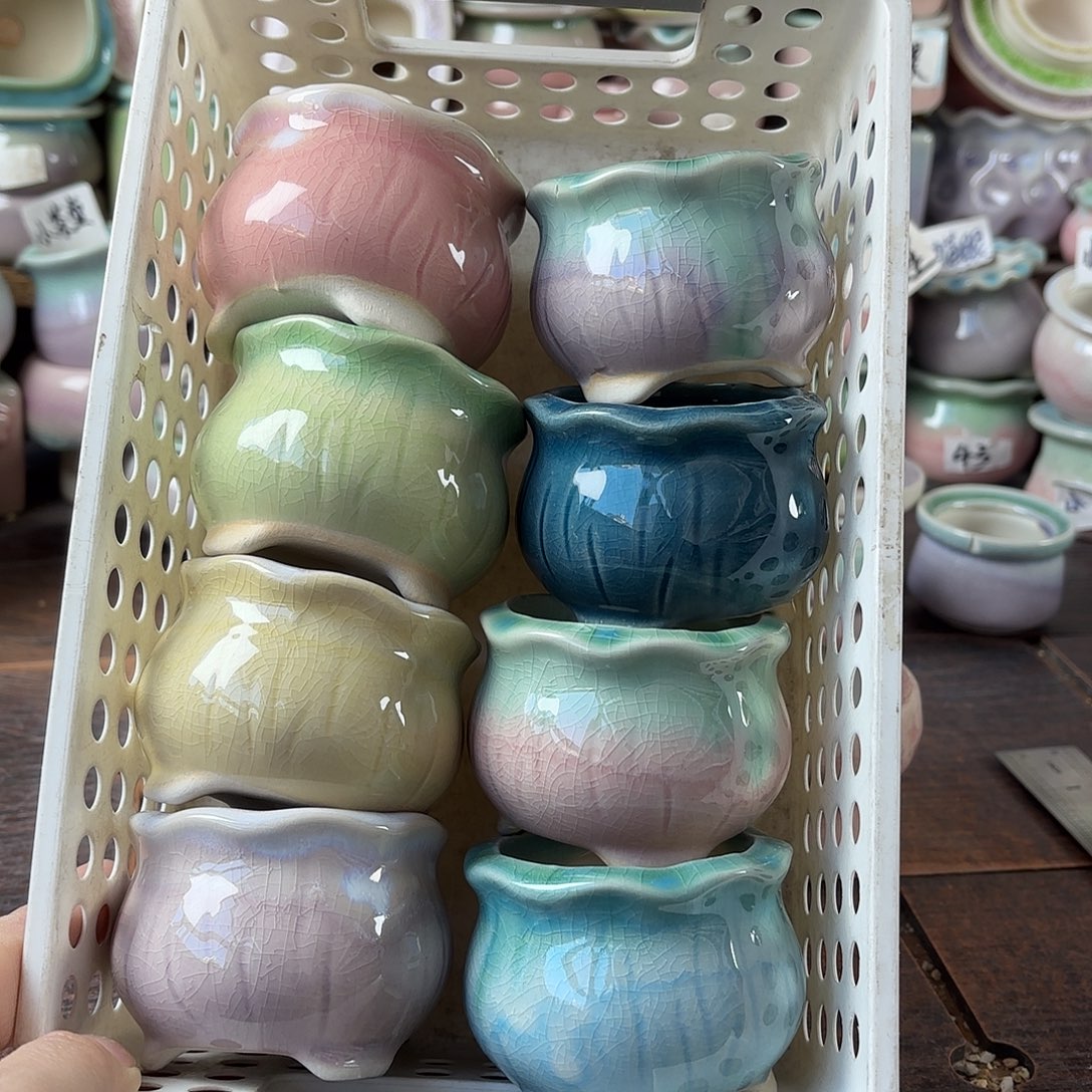 量货/5.5口高5.2深浅搭配发6