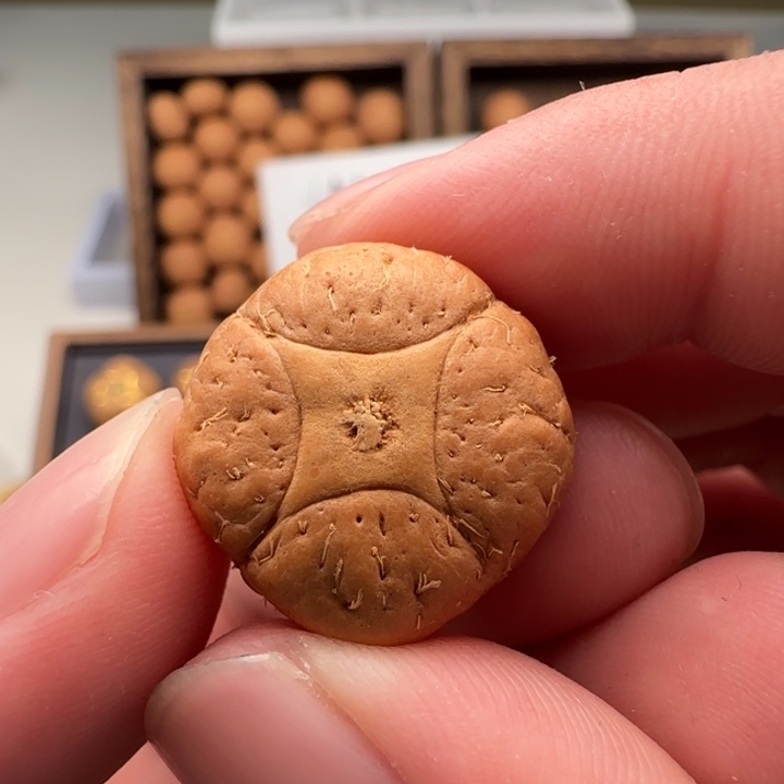 ღ***࿐麒麟眼菩提手串21➕精品麒麟