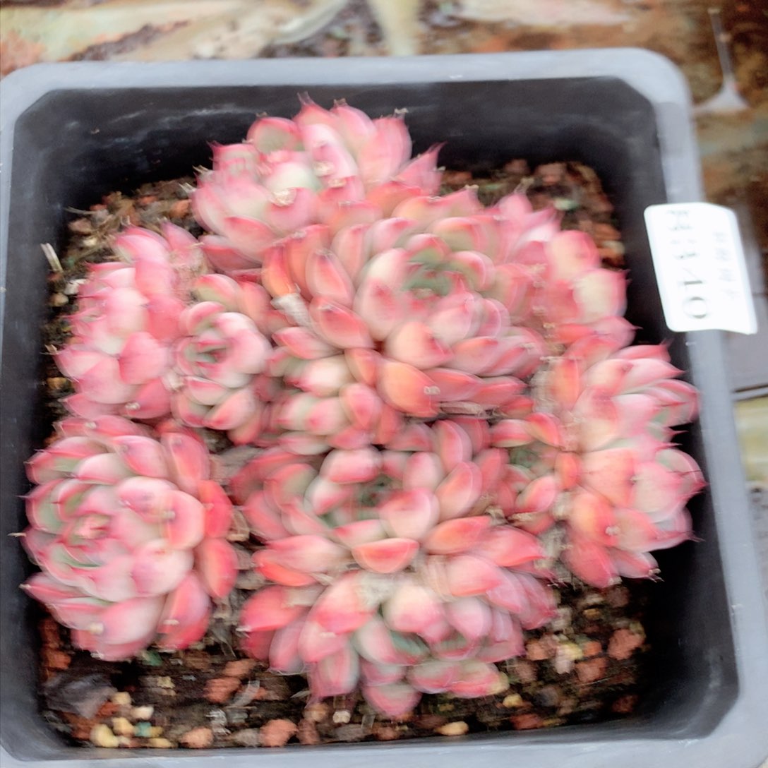 8340不包整散掉头特价处理