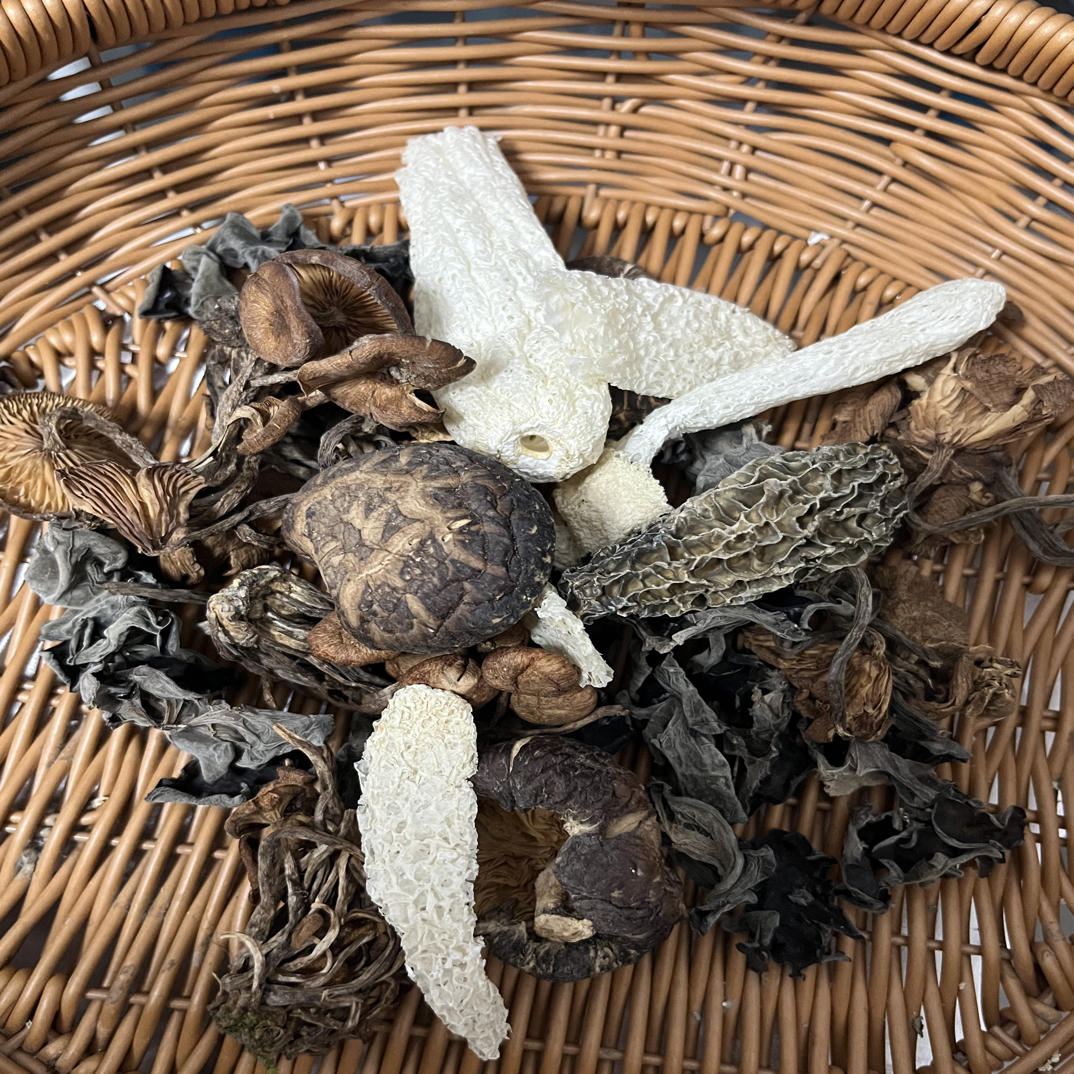 青川高山特产五彩菌汤包羊肚菌菇花青冈菌木耳竹荪干货煲汤菌汤