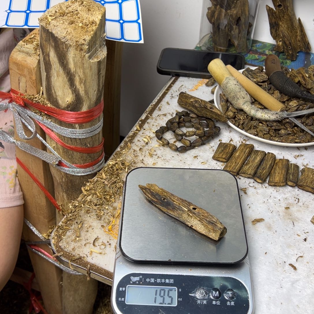 线香奇楠虫漏香19克