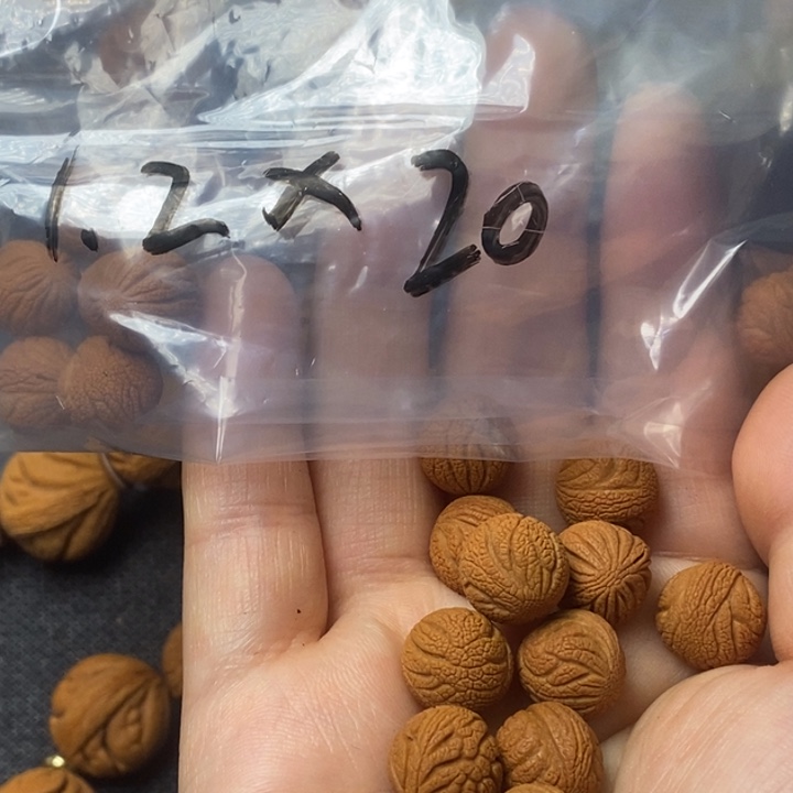 桃核吊坠秦岭山野生桃核