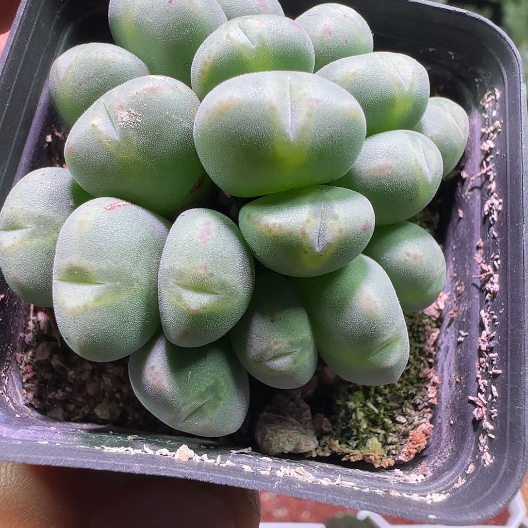 大降价福利来啦570