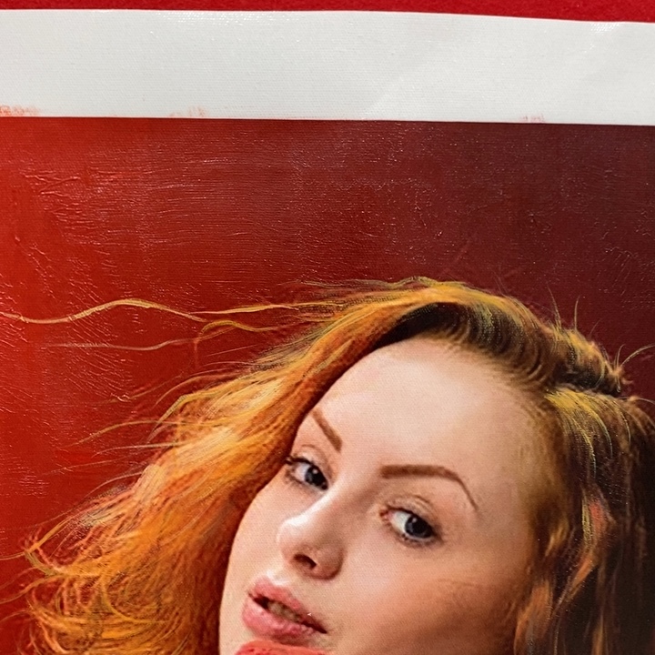 日新画作欣赏作品