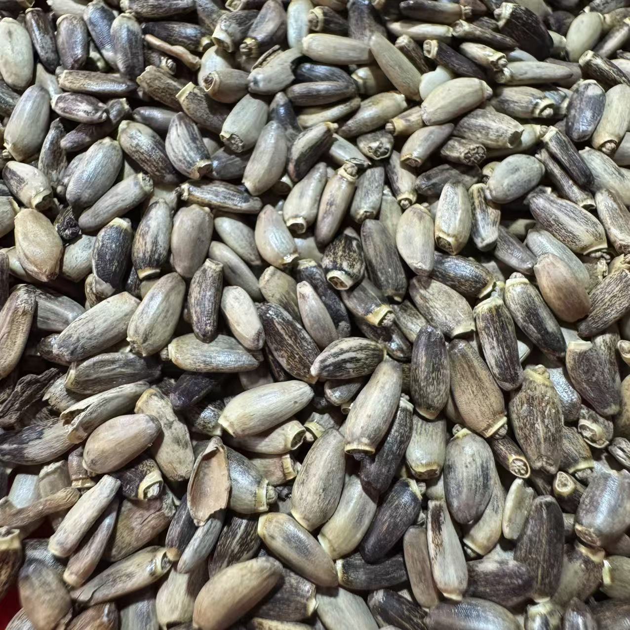 1.1【水-飞-蓟】净含量：250g-1000g【阿忠现收现卖】 菌 