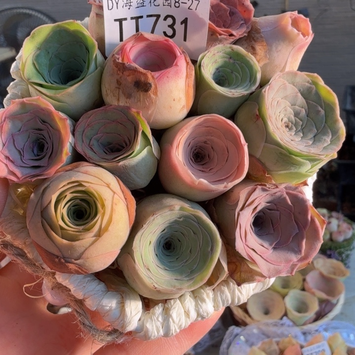 TT731 六角花篮玫瑰组合