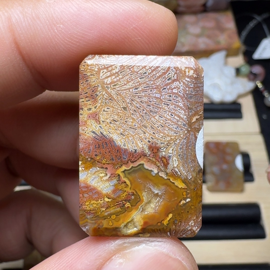 未镶嵌纯天然色有机玉石保真色硅化玉