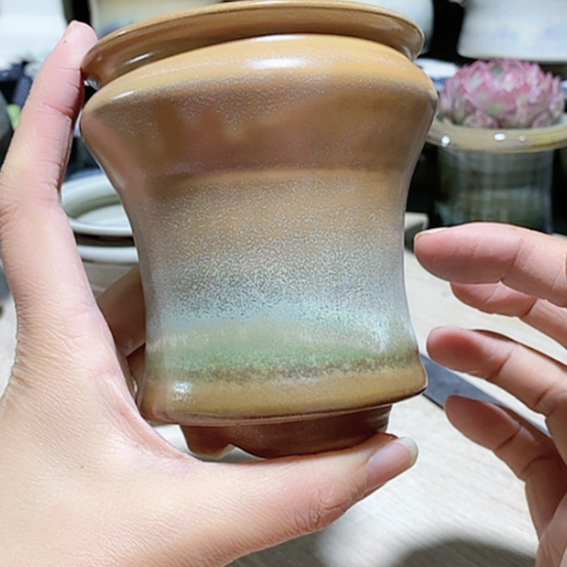 【闪购商品】红陶口7.5