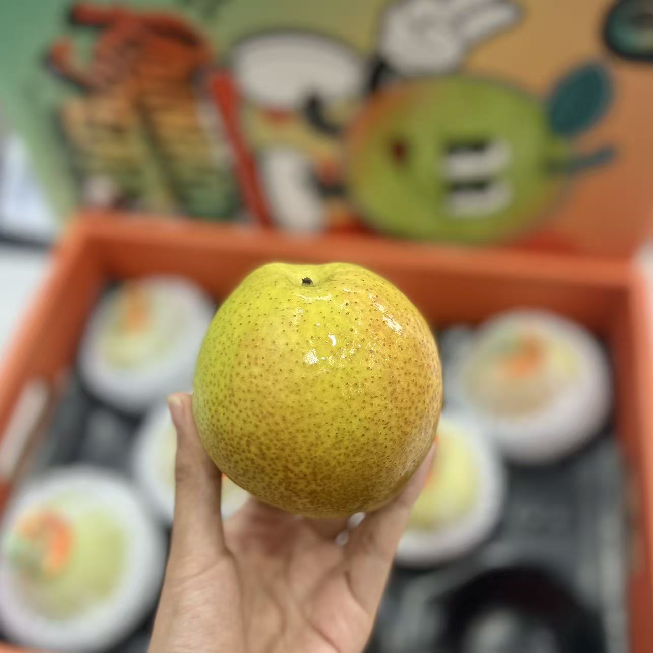 玉露彩霞梨 240g+/颗