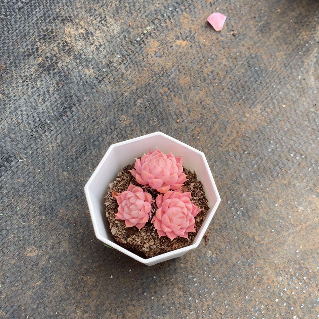 时***—人工增水系统在国内已经