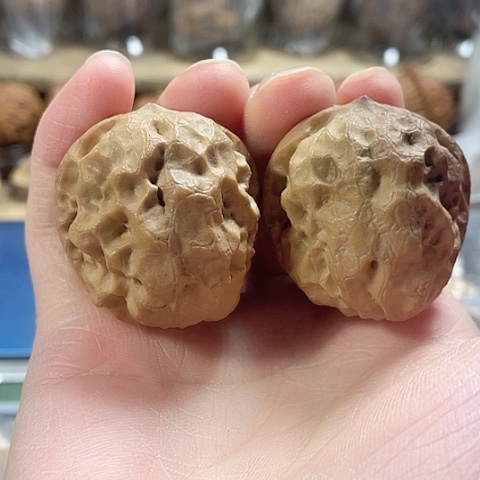 文玩核桃把件虎头金尊带彩40