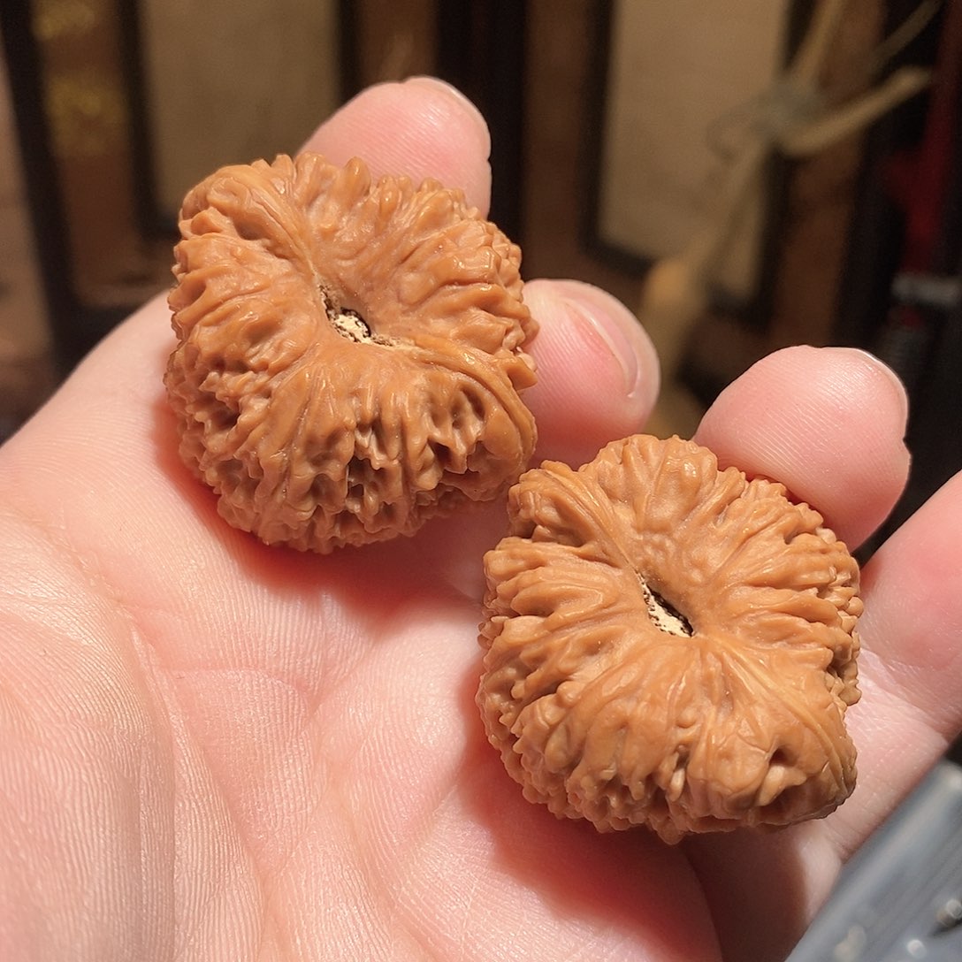 文玩核桃把件38凹底南疆石全品