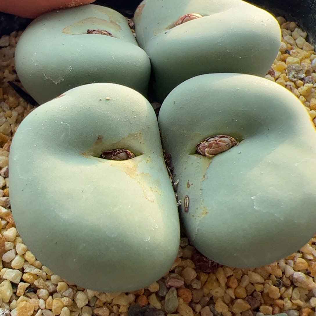 ?****?大家初三快乐23129