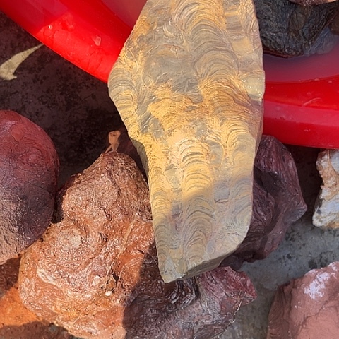 无花朵燊*家居装修效果图