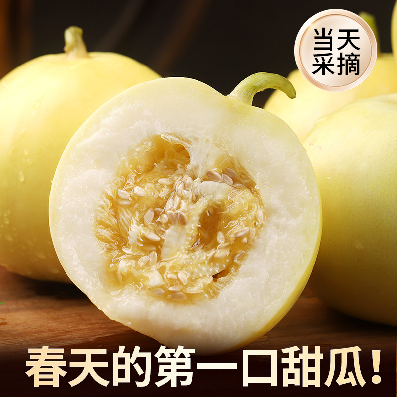 【中通】山东小蜜蜂甜瓜星甜20号甜瓜蜜罐香瓜新鲜脆瓜水果