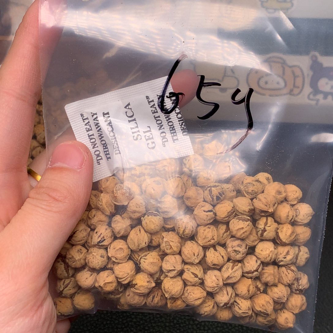 妙***都吊坠柏香籽/百香籽