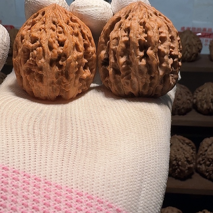 飞***缆秦岭野生无名鸡心