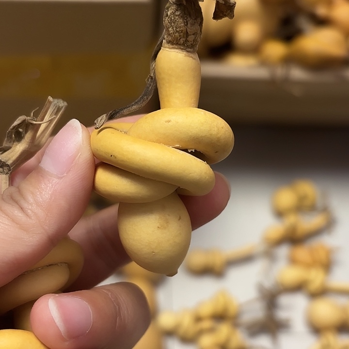 吊***！一把葫芦便宜漏了