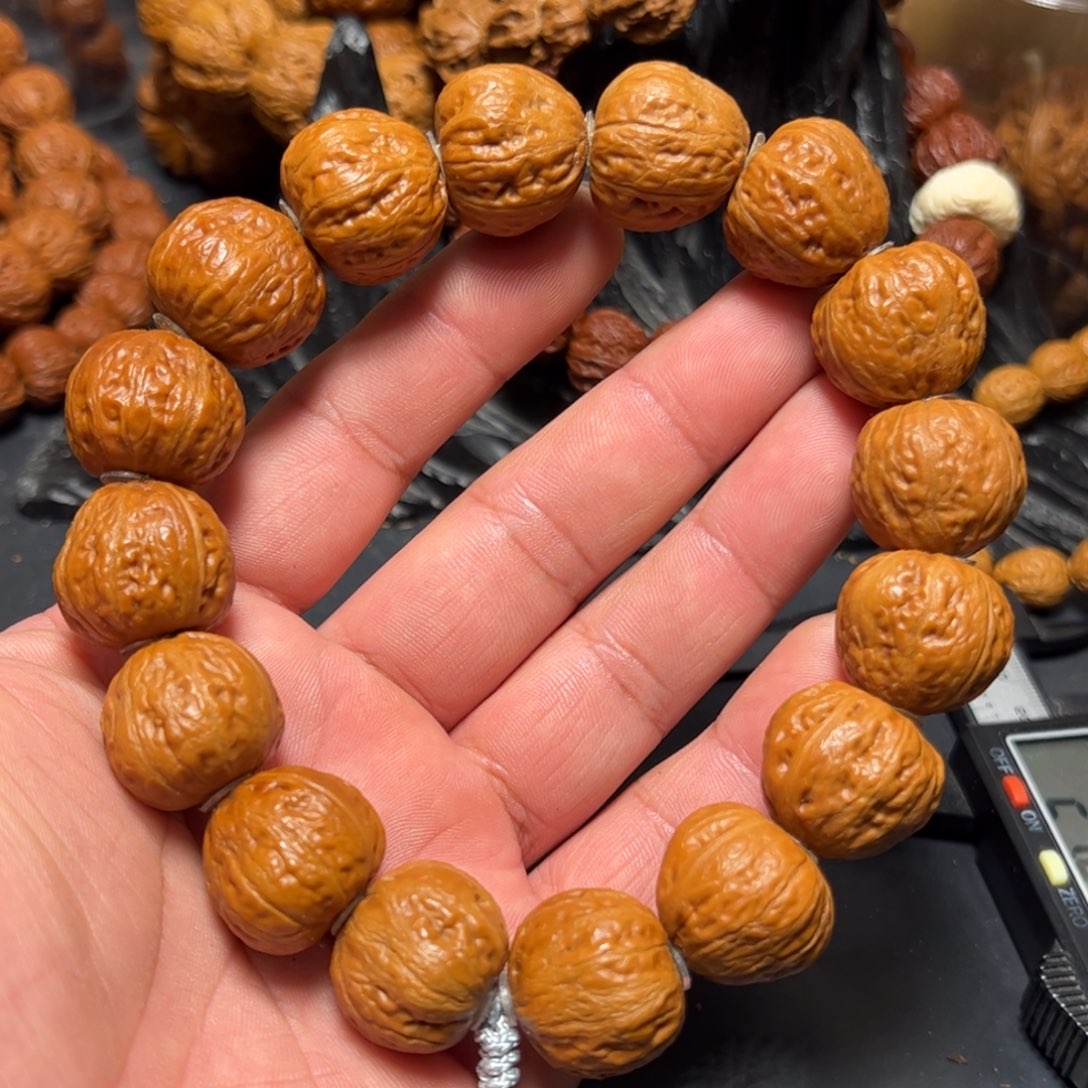 文玩核桃手串尺寸边肚20高18
