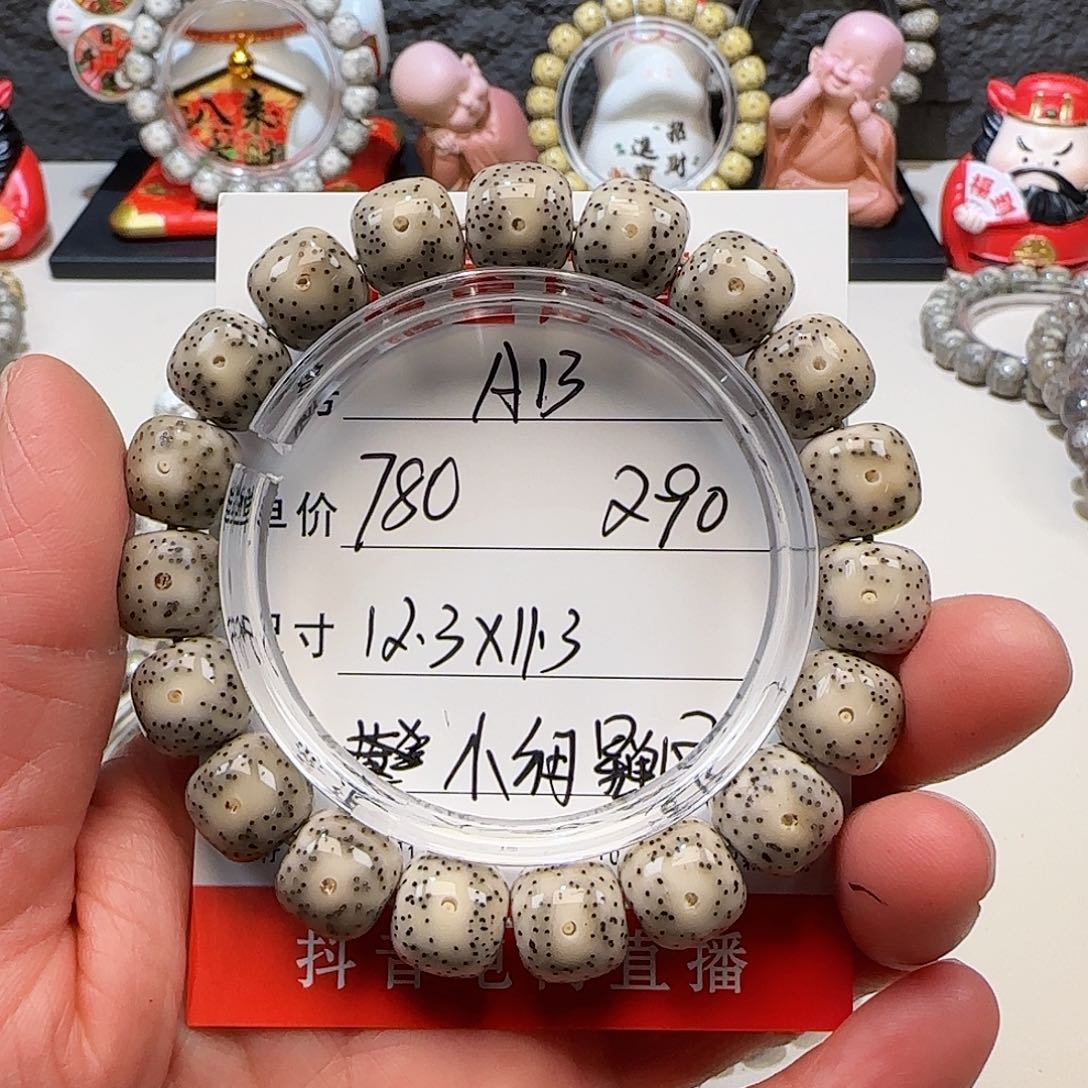 海南荷塘星月菩提A13