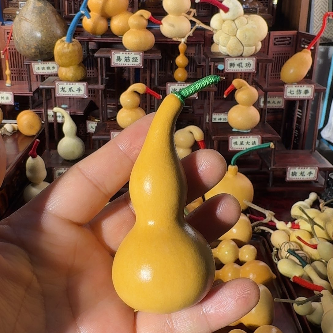 本捻老皮响籽厚皮