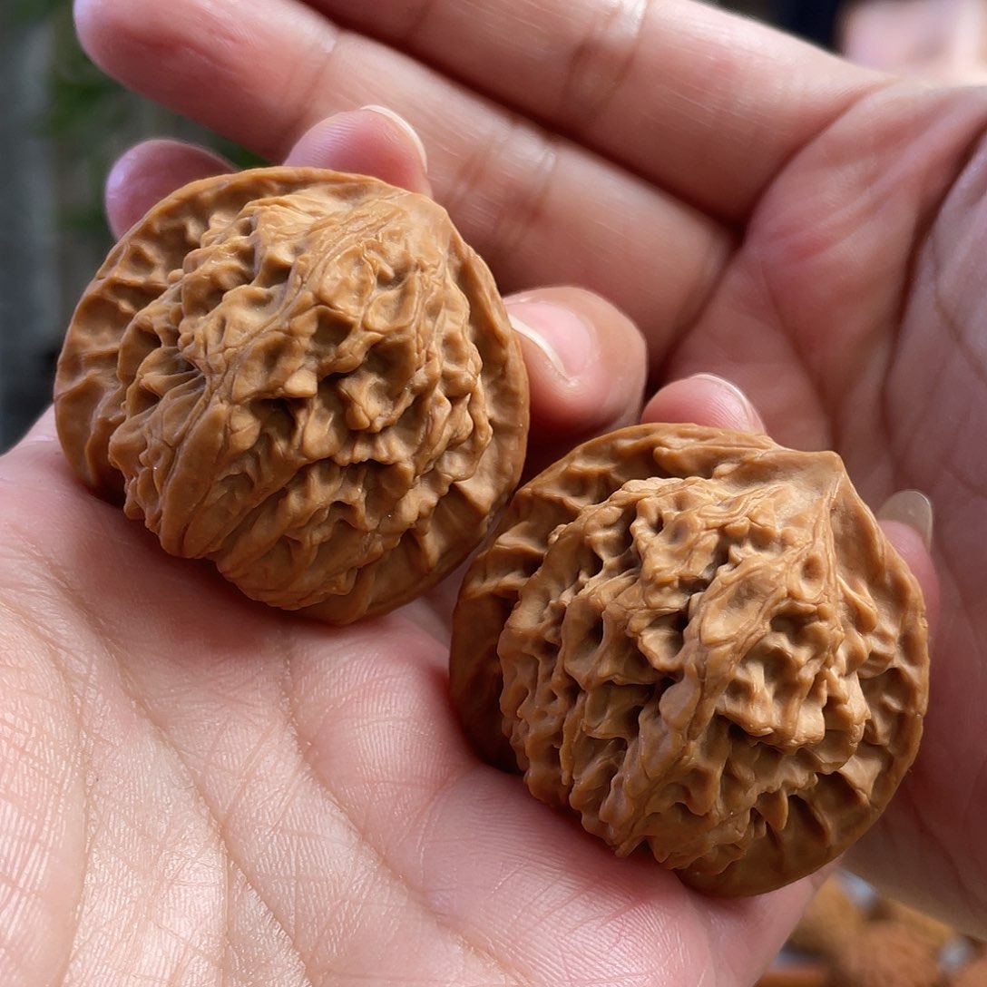 桃核把件42×37尺盘龙纹狮子头CN0938已打底