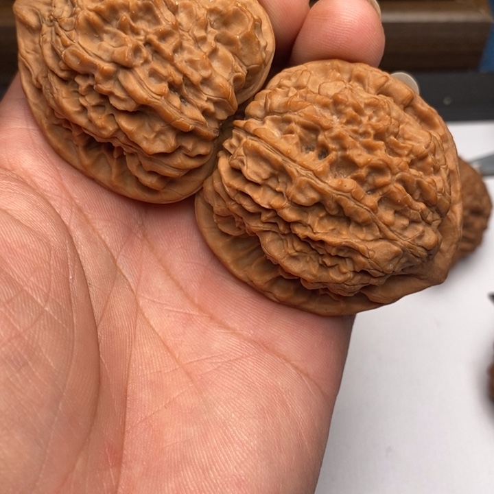 麒麟纹狮子头48尺有磕碰