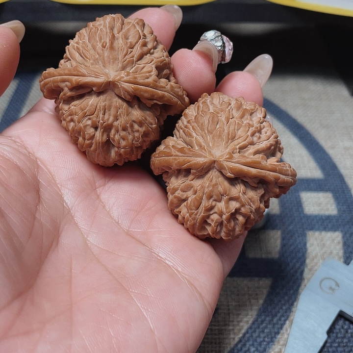 文玩核桃把件白狮子44