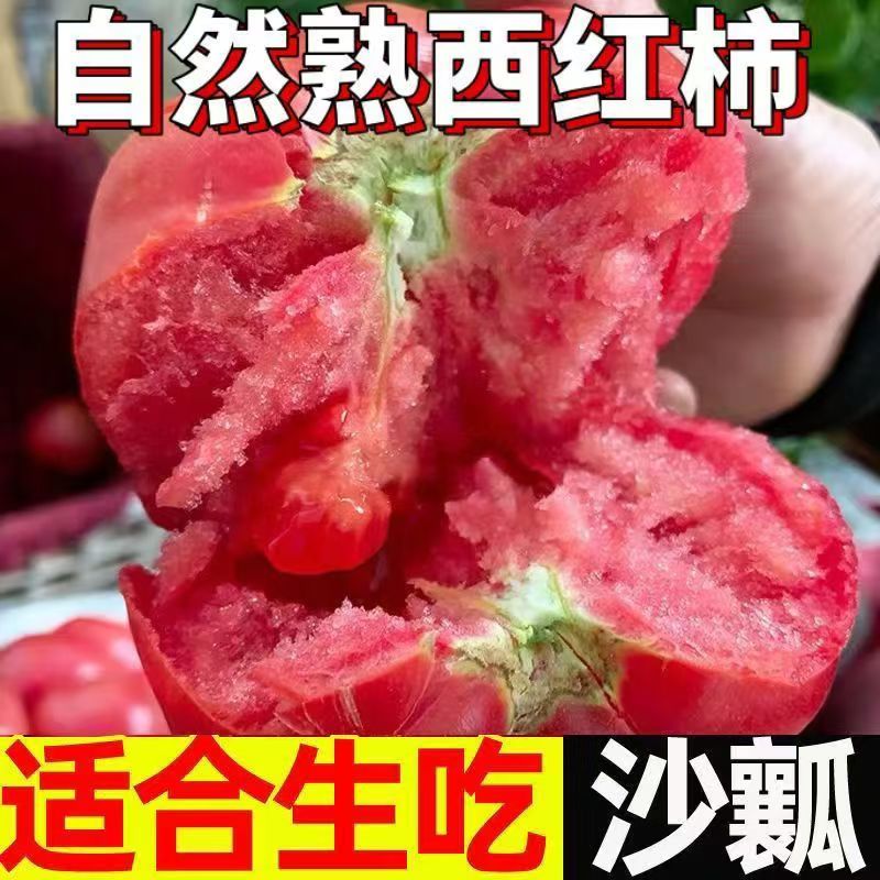 【枝遇】老品种小时候的味道沙瓤水果口感西红柿新鲜番茄自然成熟 图片 2