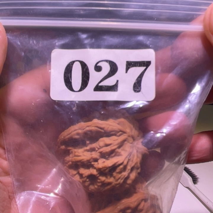 Y***p文玩核桃吊坠027虎头