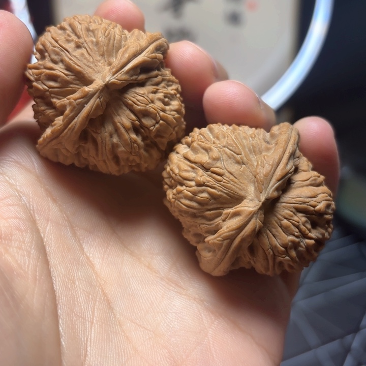 文玩核桃把件40尺全品白狮子球白