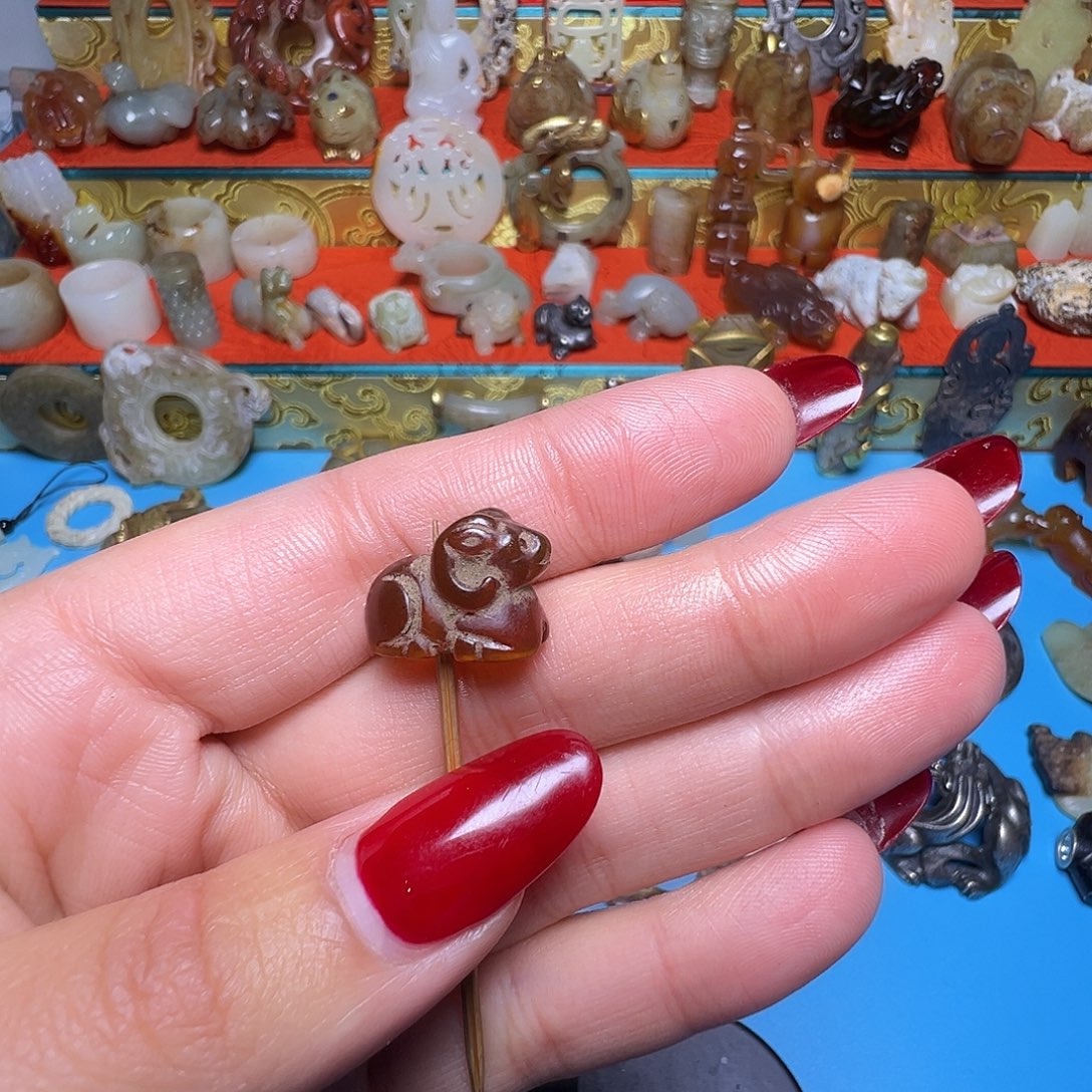 大***）小动物…………………………