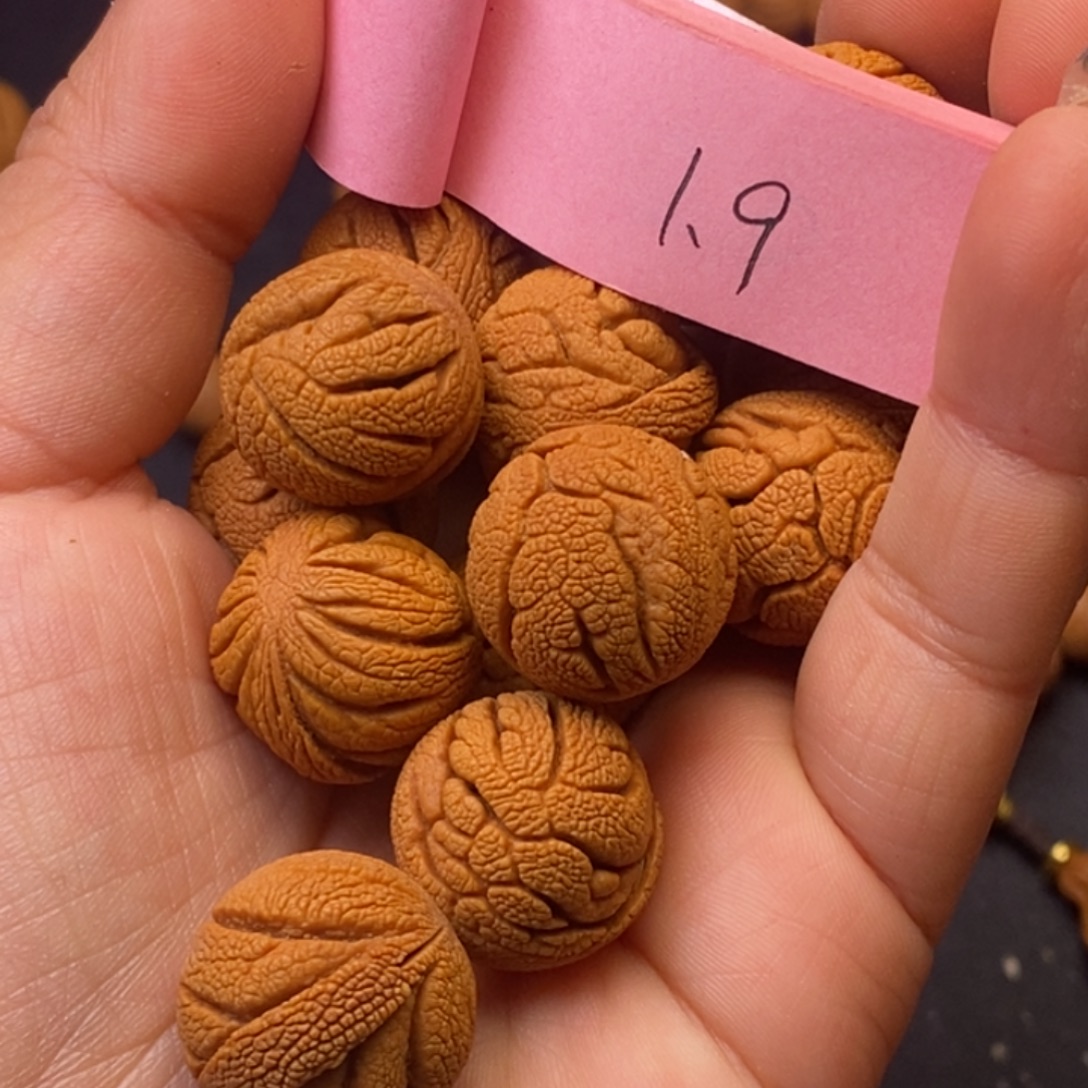 秦岭龙纹桃核14颗