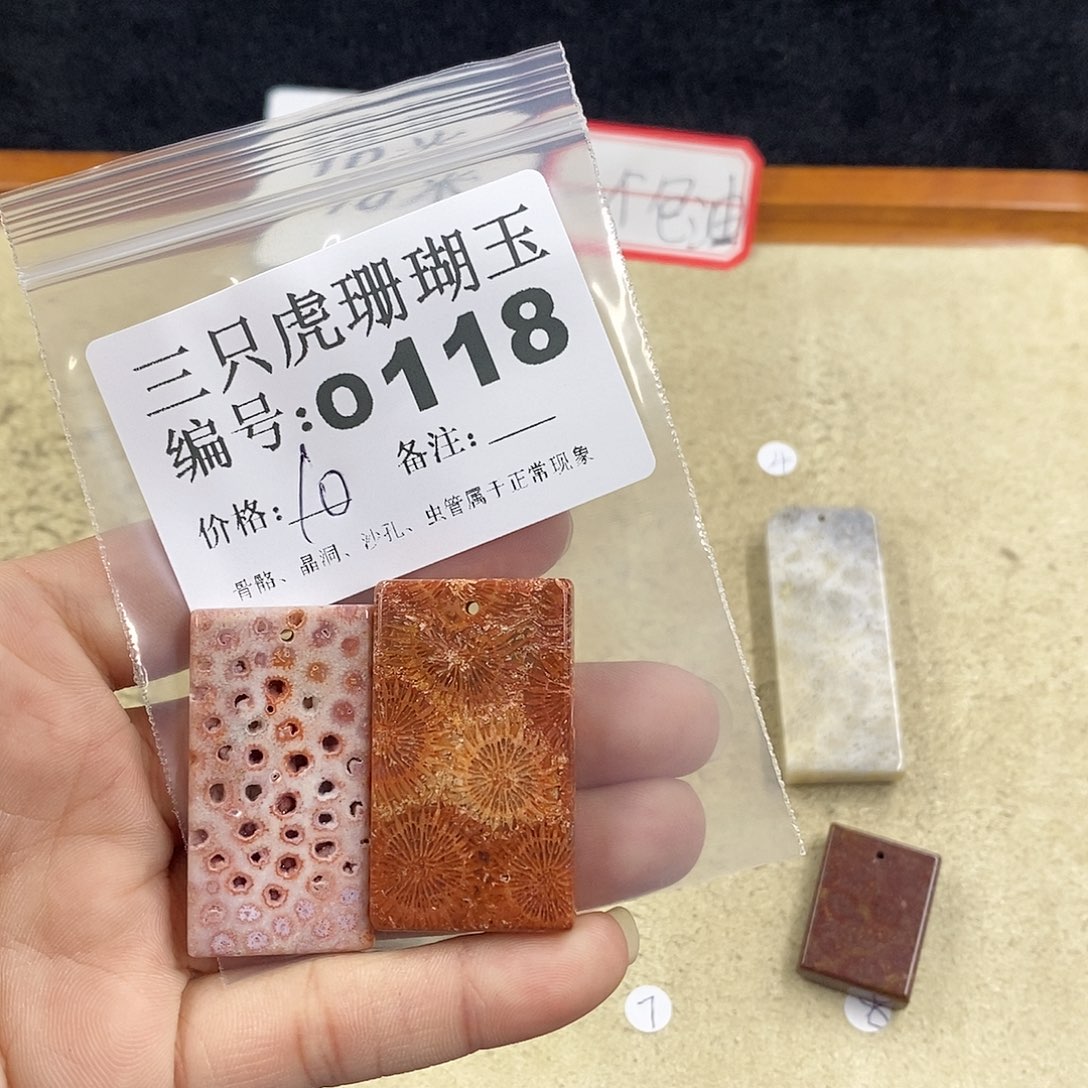 硅化珊瑚（珊瑚玉）1未镶嵌晒****钙