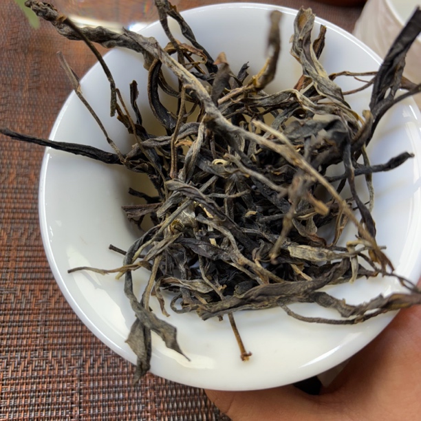 2025年头春荒山古树挑采普洱生茶