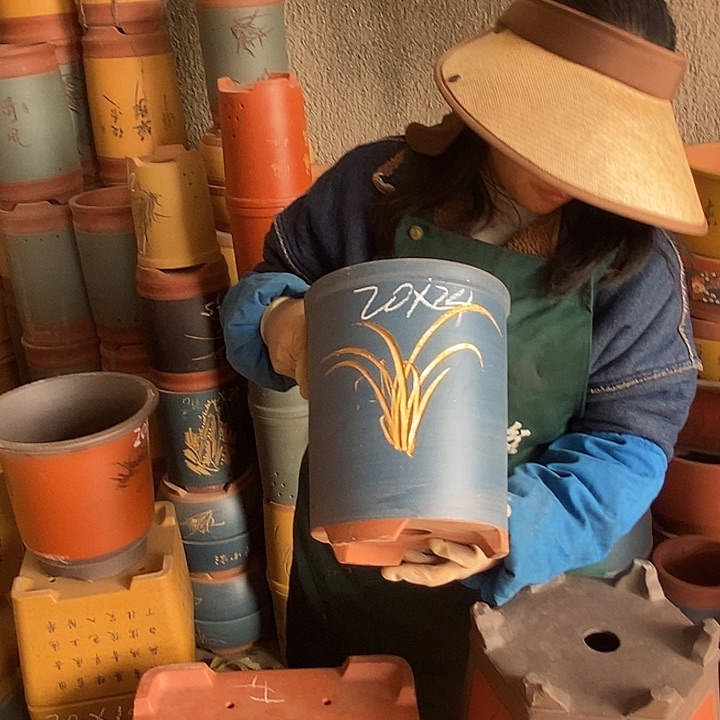 紫砂花盆盆栽花卉苗木种植