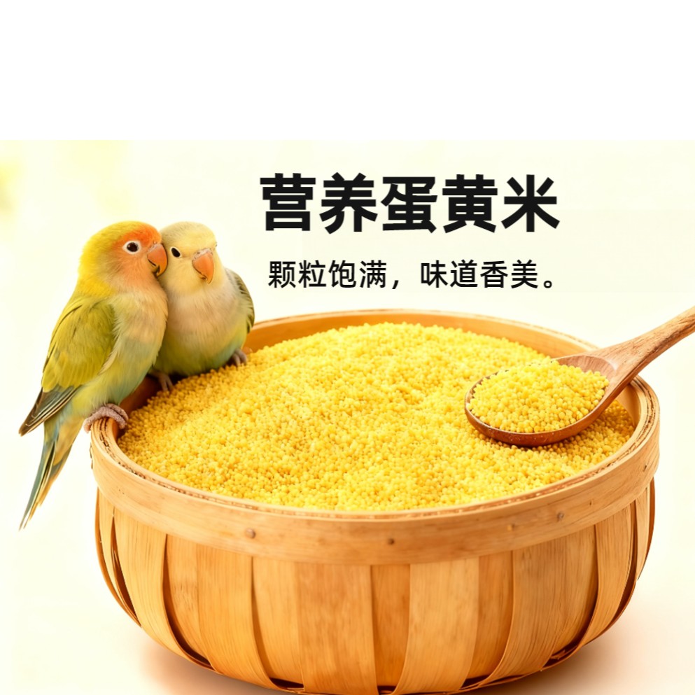 自有养殖场现做鹦鹉蛋小米，