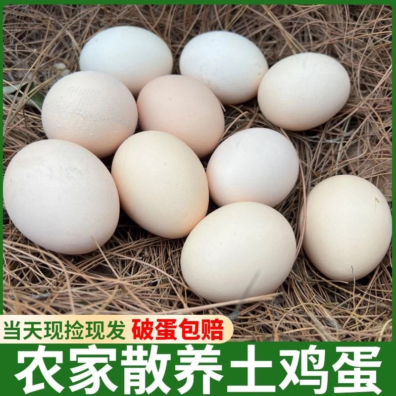 高品质正宗农村土鸡蛋山林散养鸡蛋新鲜批发整箱