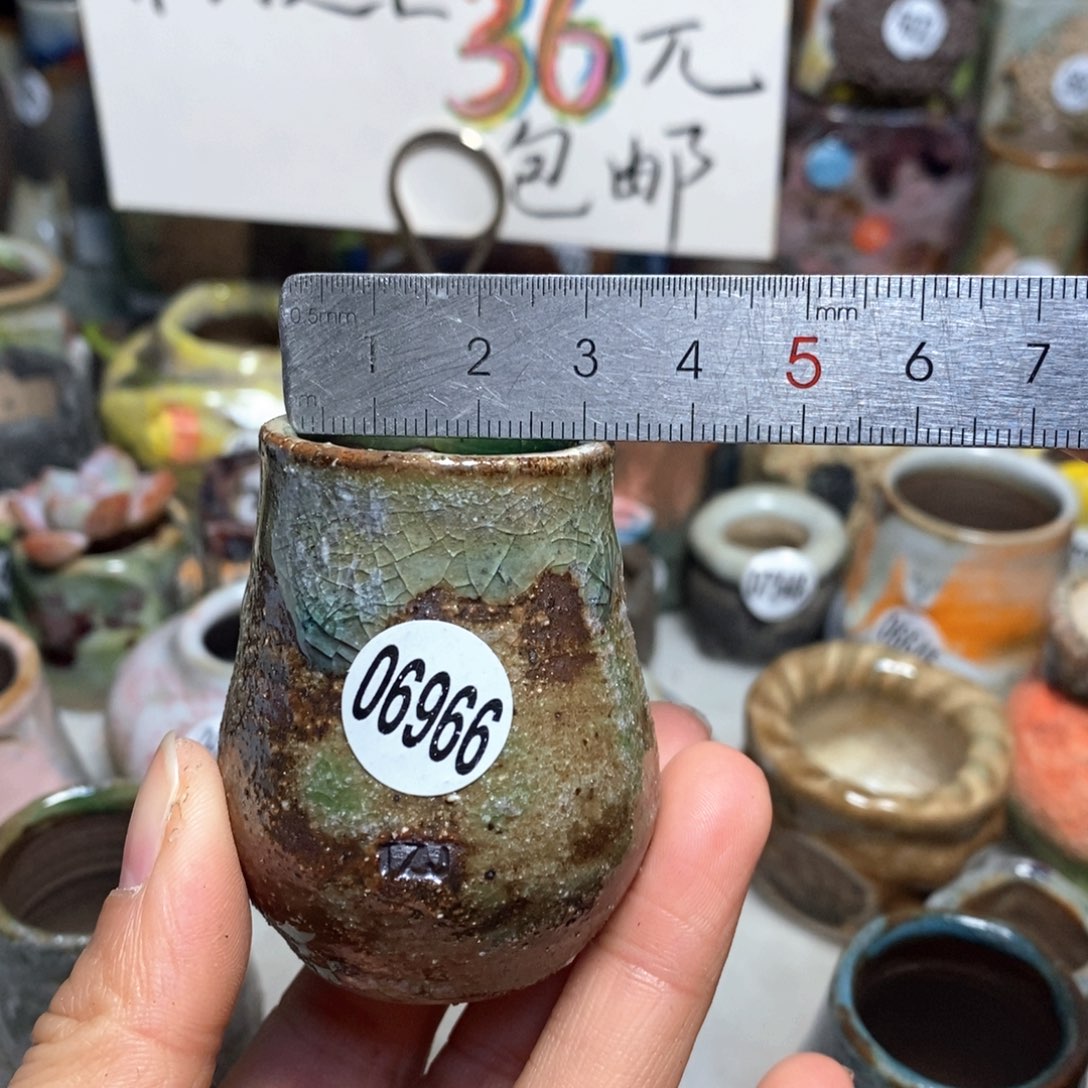 花盆拍5送一个小礼物