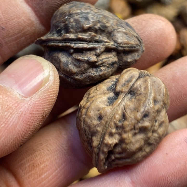 吊坠桃核东北特产73