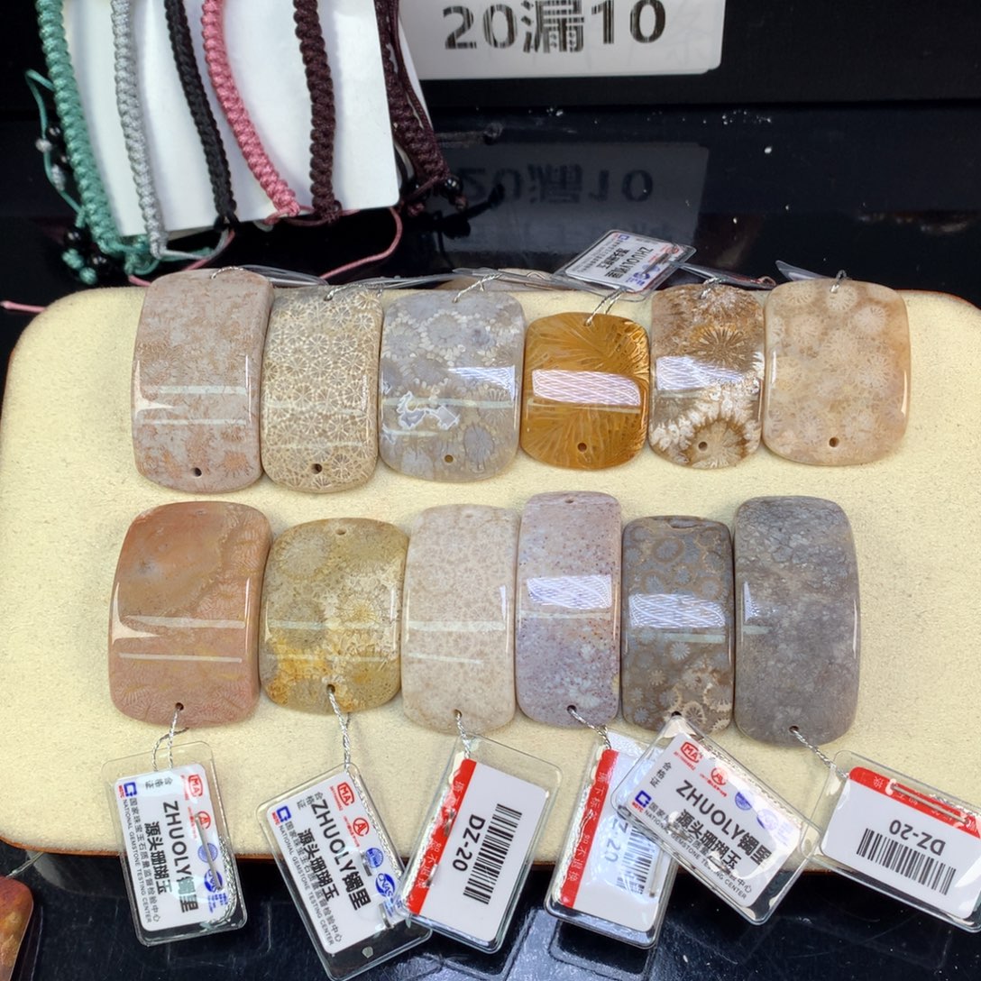 硅化珊瑚（珊瑚玉）未镶嵌吊坠(赠链)20漏10米一个可挑（16号）