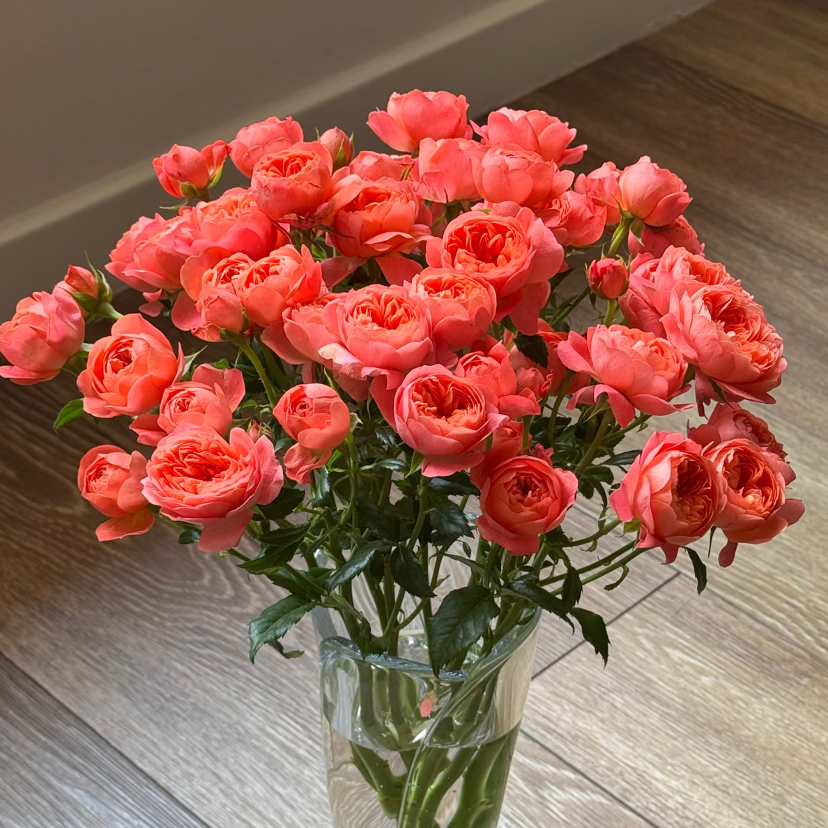 【红果汁】多头玫瑰生活插花云南基地现采现发任意两单顺丰冷链包邮