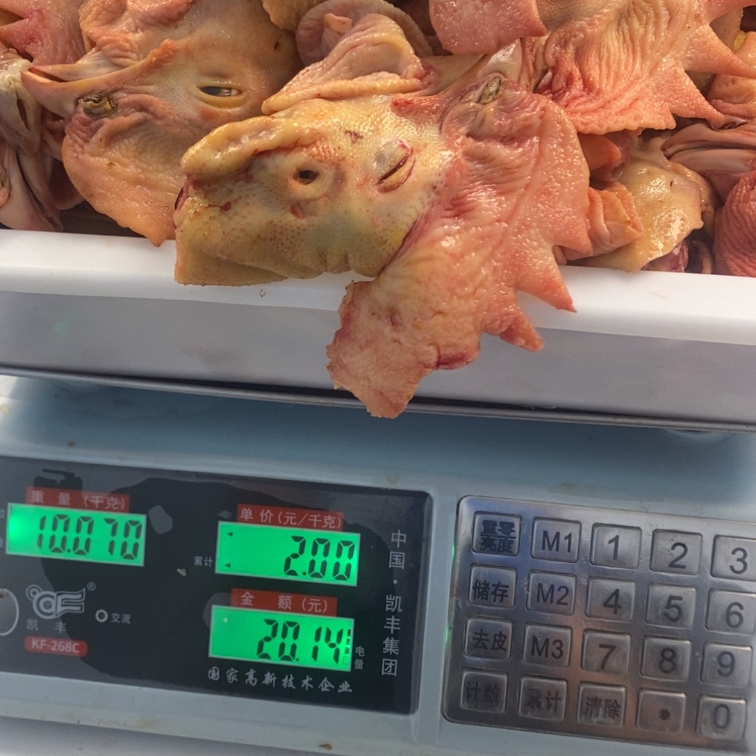 30天中国大陆包装头240