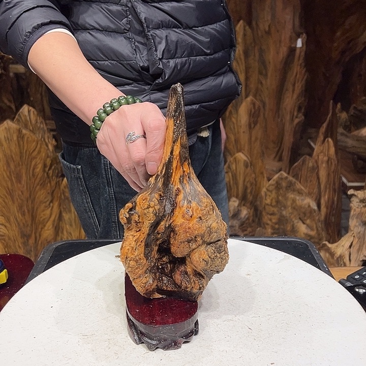 松木（琥珀木）小***，