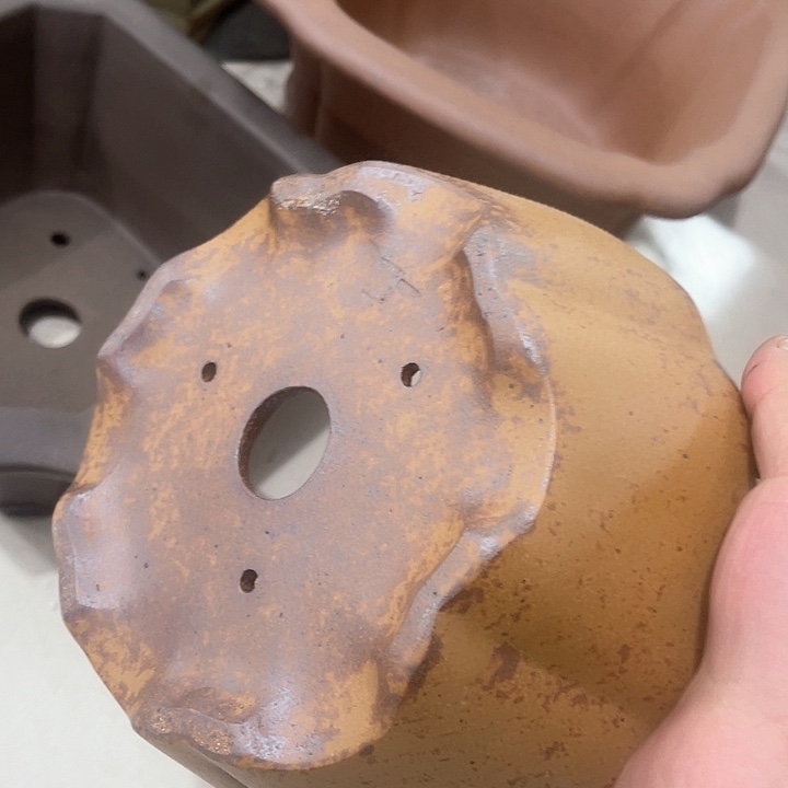 紫砂花盆这个世界上最美好最美好